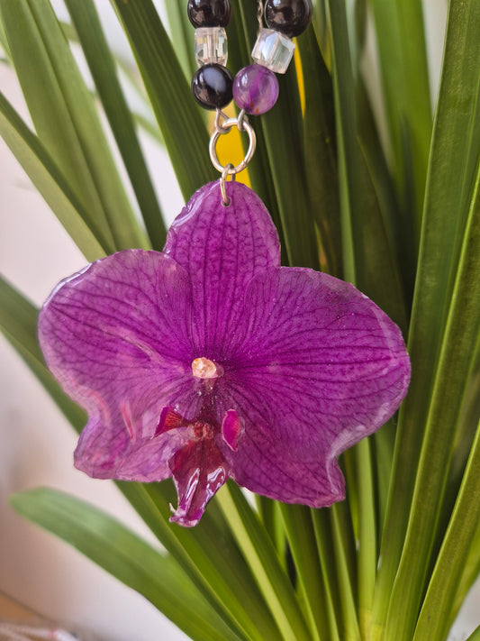 Colgante orquídea  Phalaenopsis morado