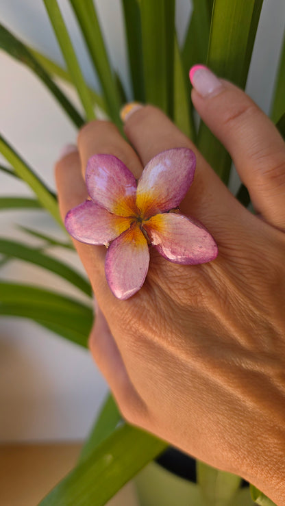 Anillo Plumeria rosa