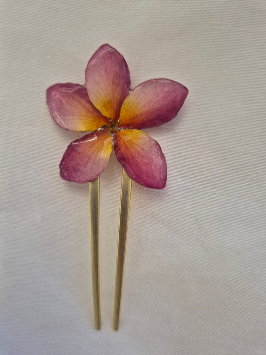 Horquilla Plumeria