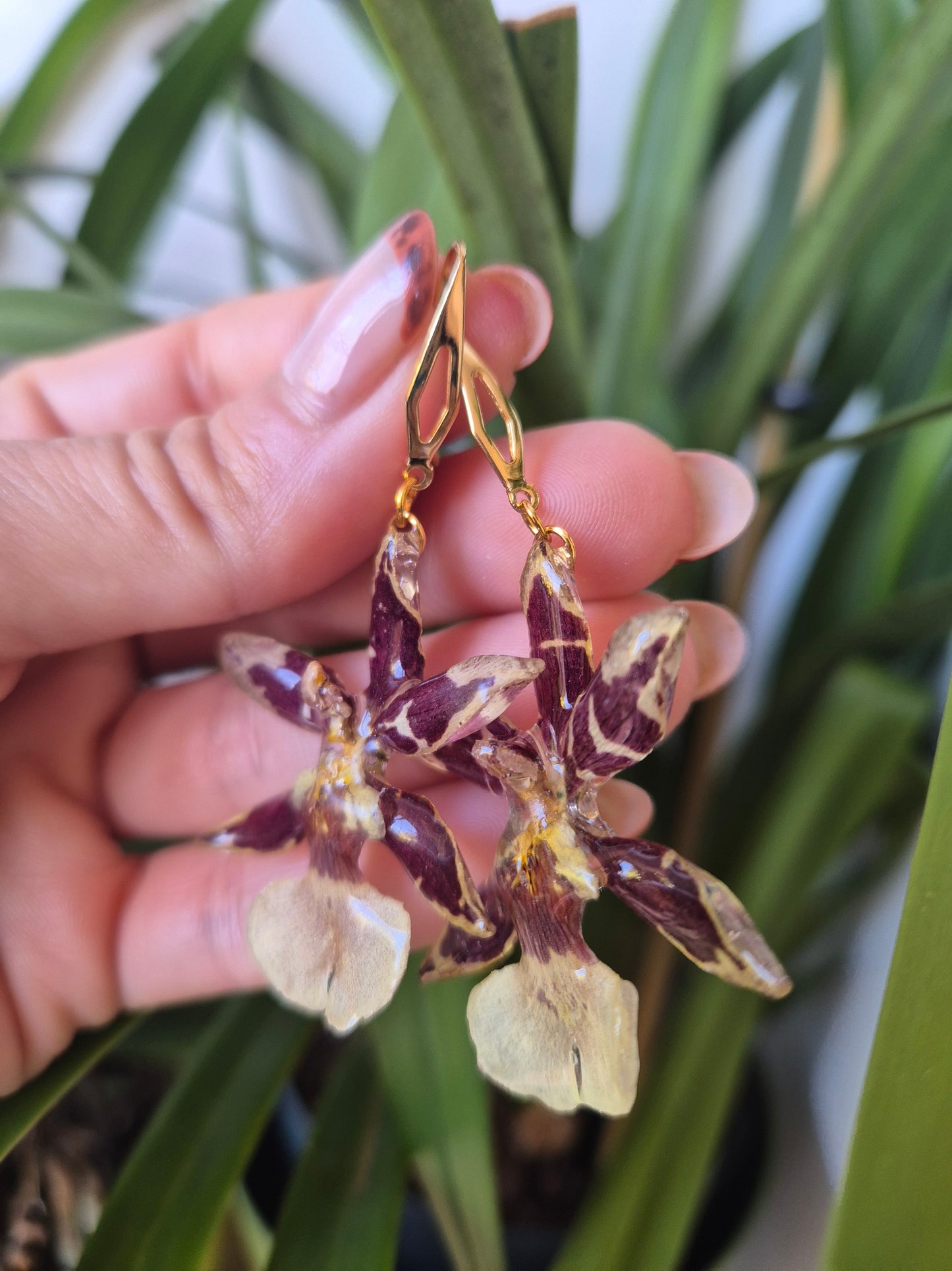 Pendientes orquidea Cambria