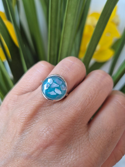 Anillo de concha de mar