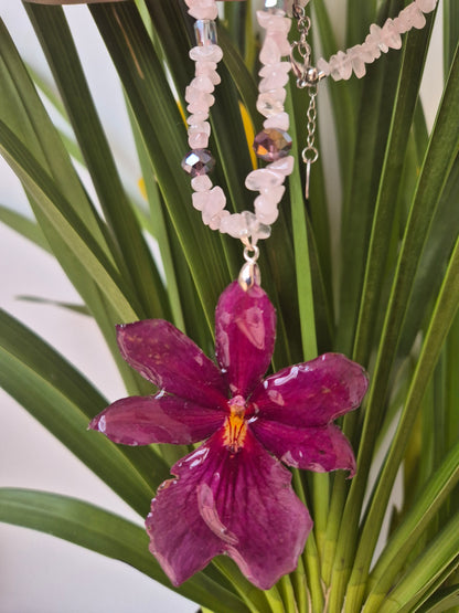 Colgante orquídea  Cymbidium