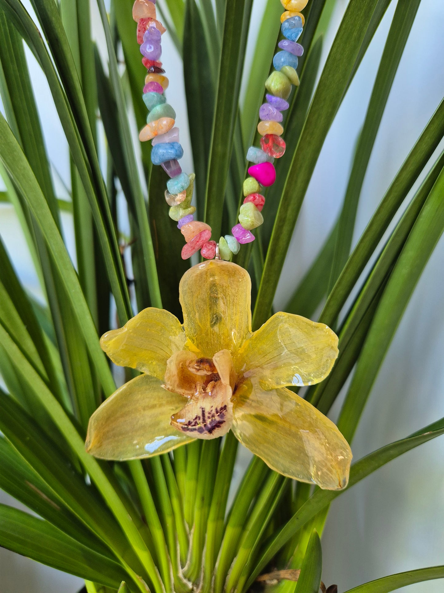 Colgante orquidea cymbidium amarilla