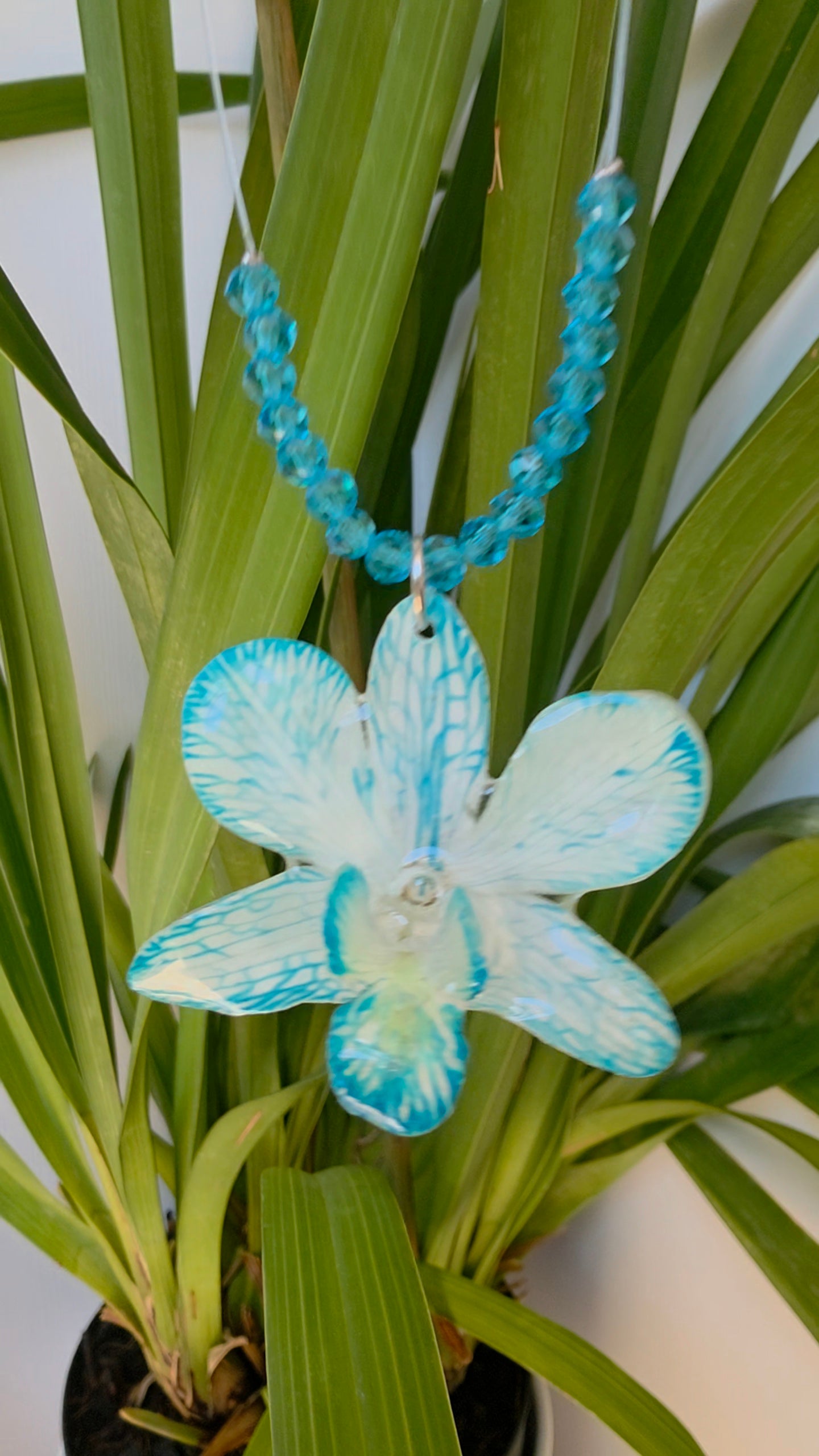 Collar Orquídea Dendrobium Azul & Destellos Celestes