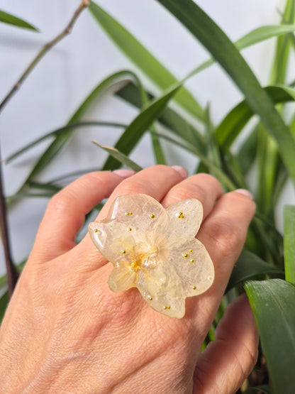 Anillo orquidea
