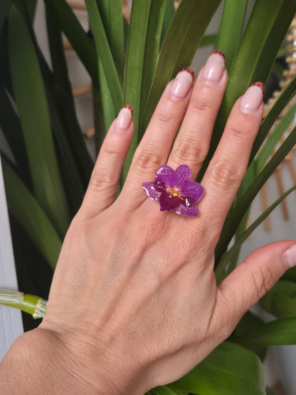 Anillo orquidea Phalaenopsis