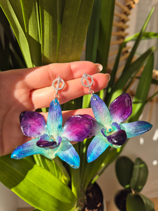 Pendientes orquidea Dendrobium