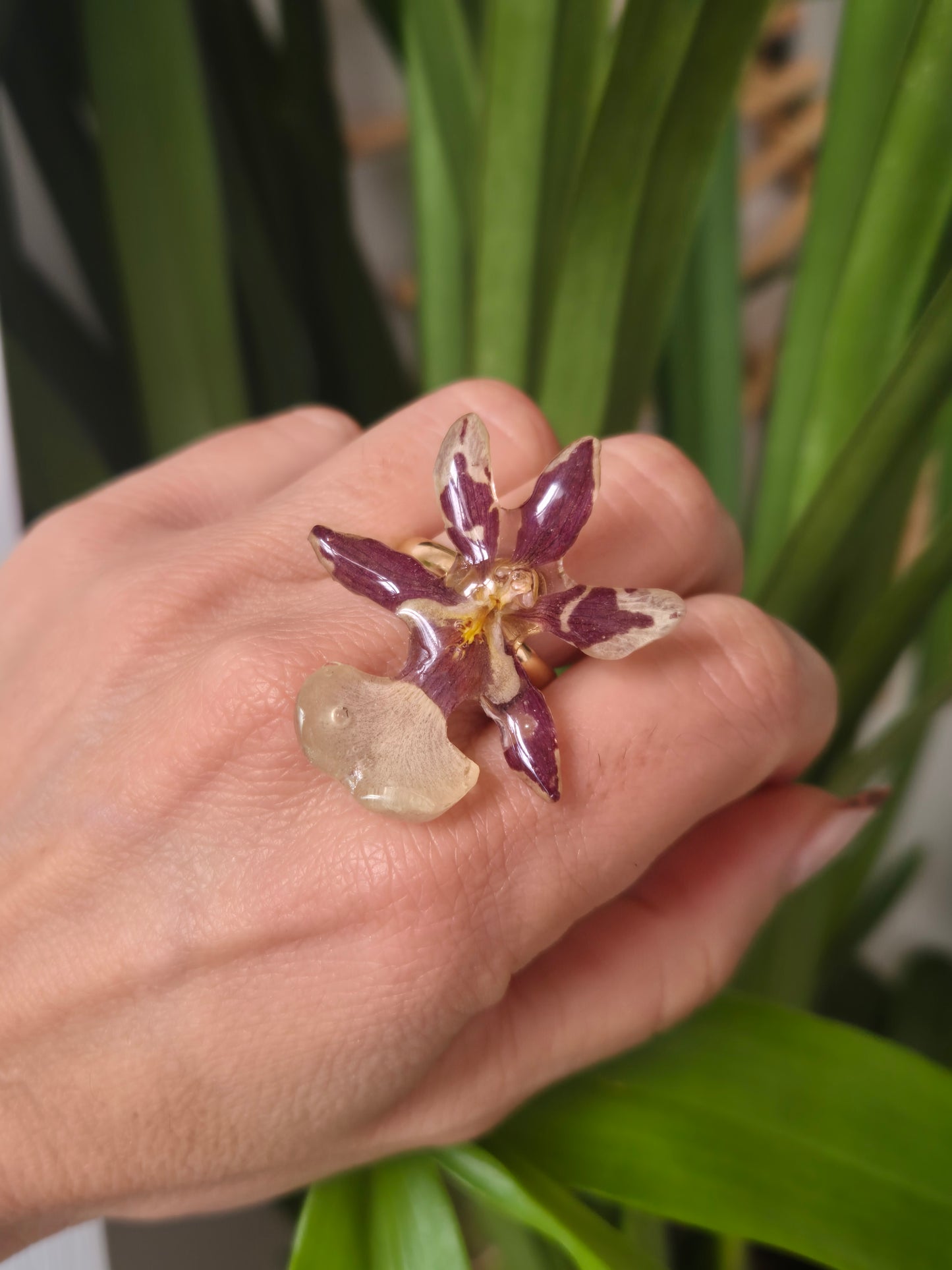 Anillo orquidea Cambria mini
