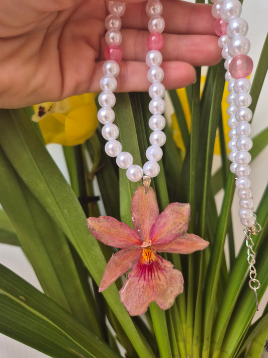 Colgante orquídea  Cymbidium