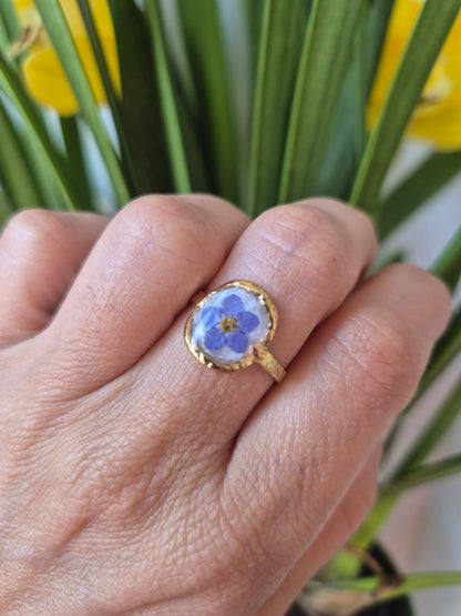 Anillo ajustable siempre viva