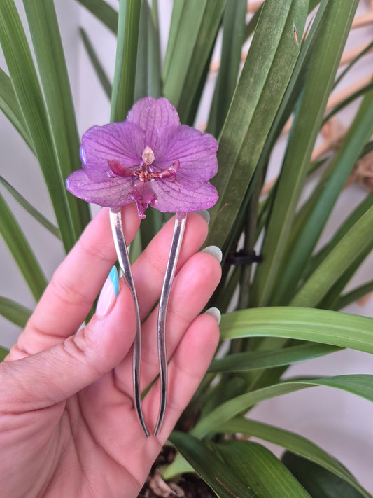 Horquilla de orquidea real