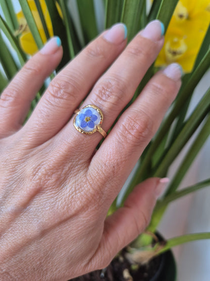 Anillo ajustable siempre viva