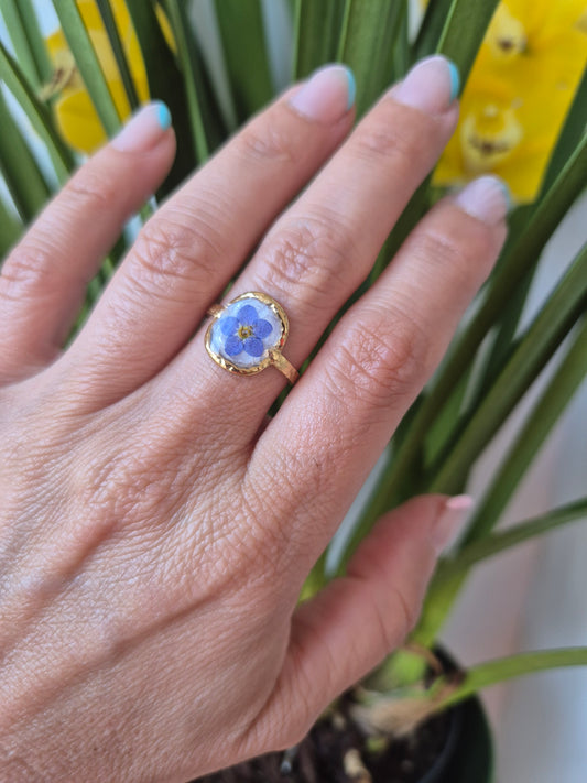 Anillo ajustable siempre viva