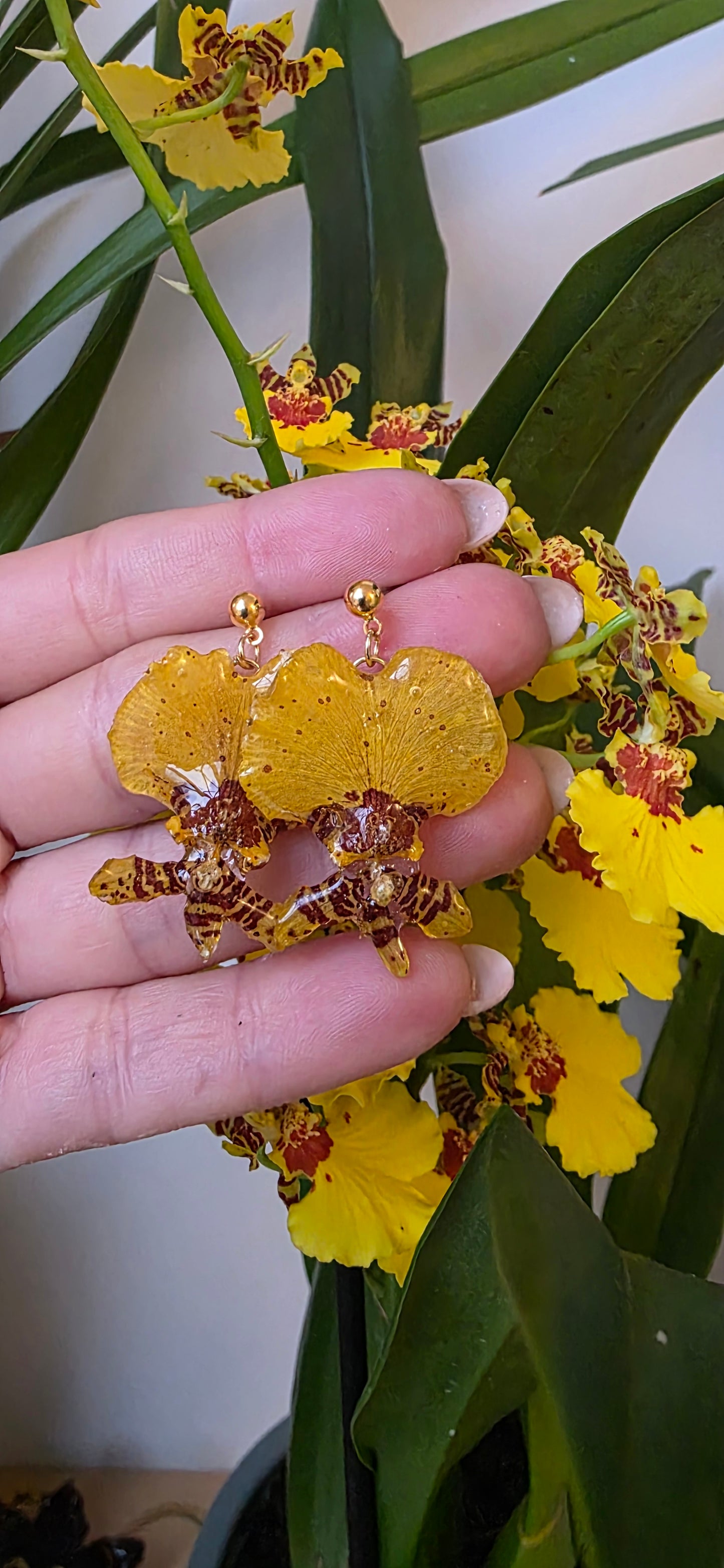 Pendinentes orquidea Oncidium mini