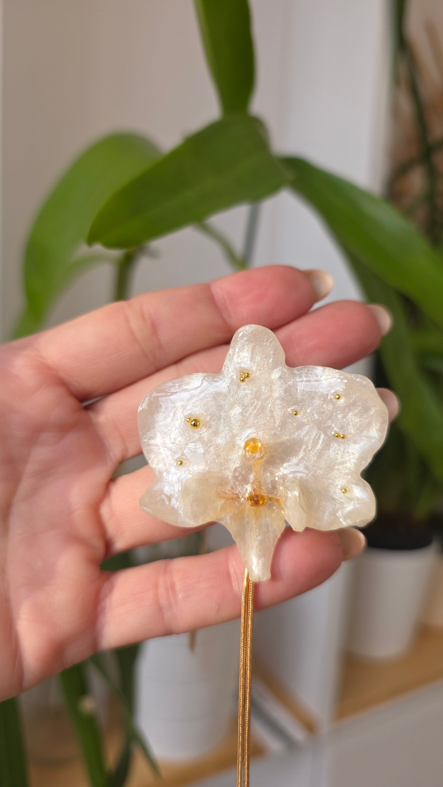 Collar regulable de orquidea.