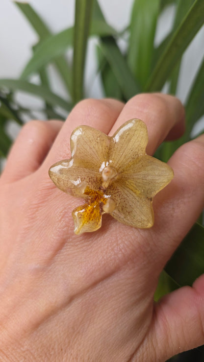 Anillo orquidea amarilla