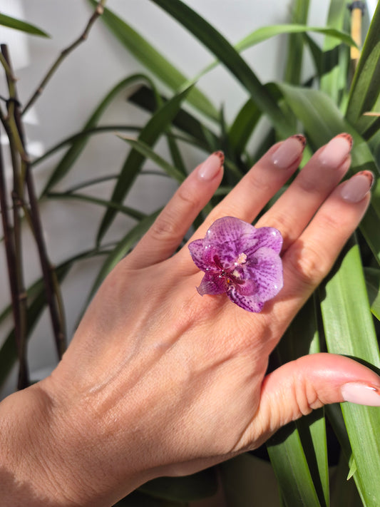 Anillo orquidea