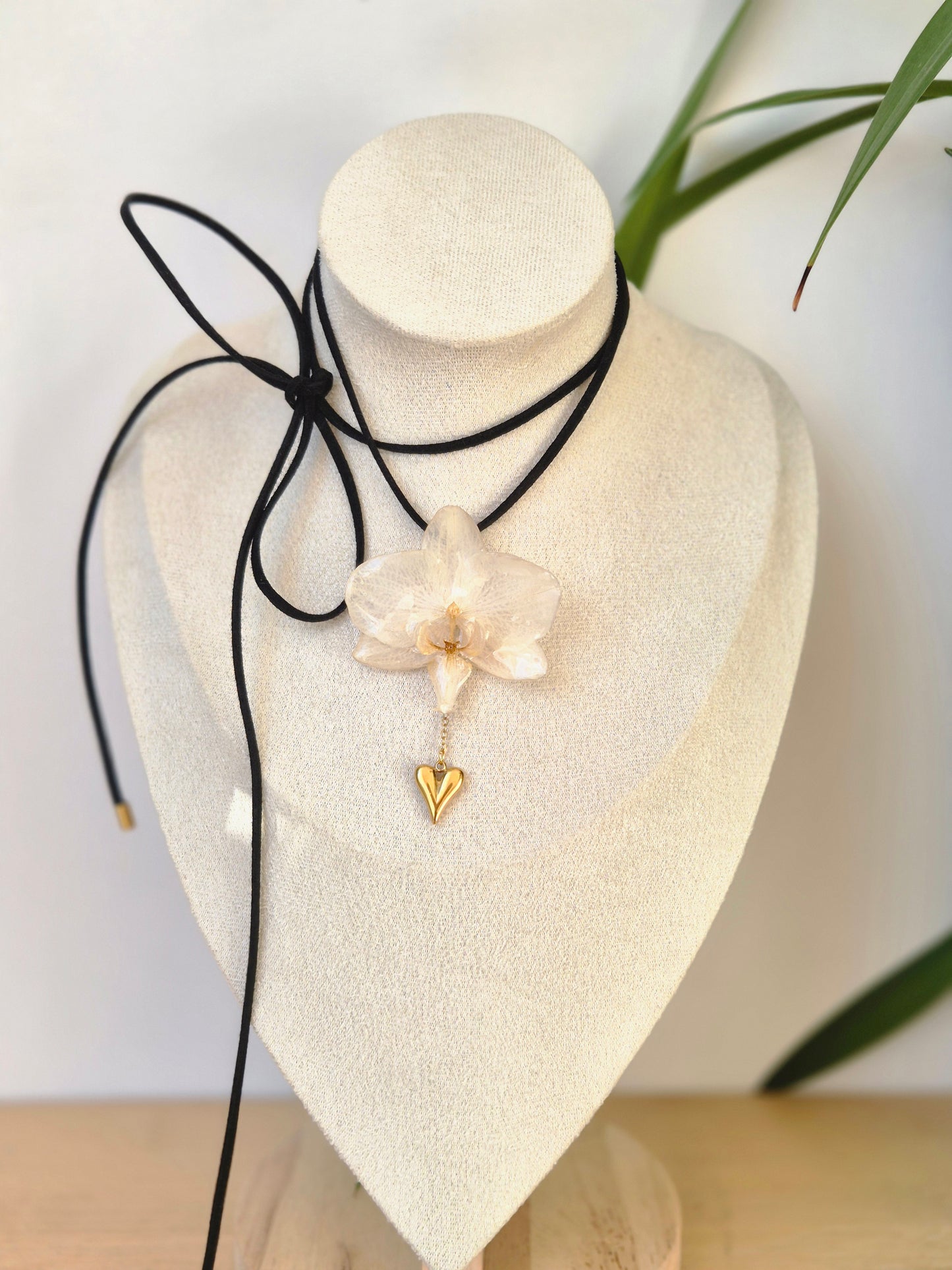 Colgante regulable de orquídea Phalaenopsis