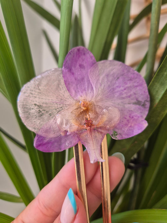 Horquilla de orquidea real