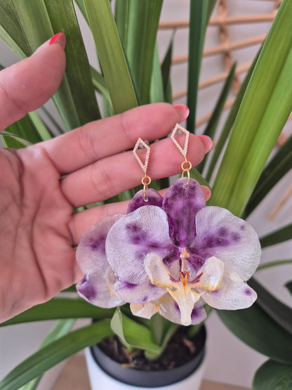 Pendientes orquidea Phalaenopsis