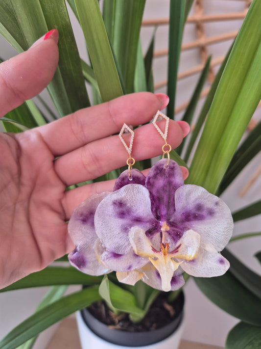 Pendientes orquidea Phalaenopsis