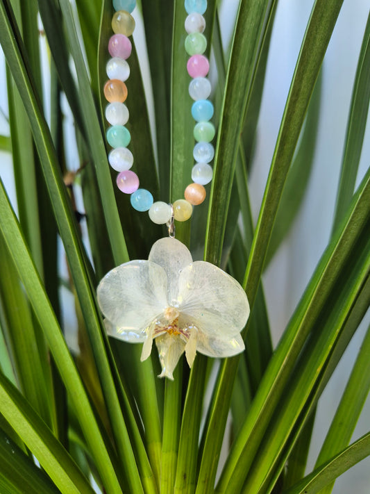 Colgante orquídea  Phalaenopsis blanca