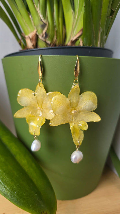 Pendientes orquidea Dendrobium