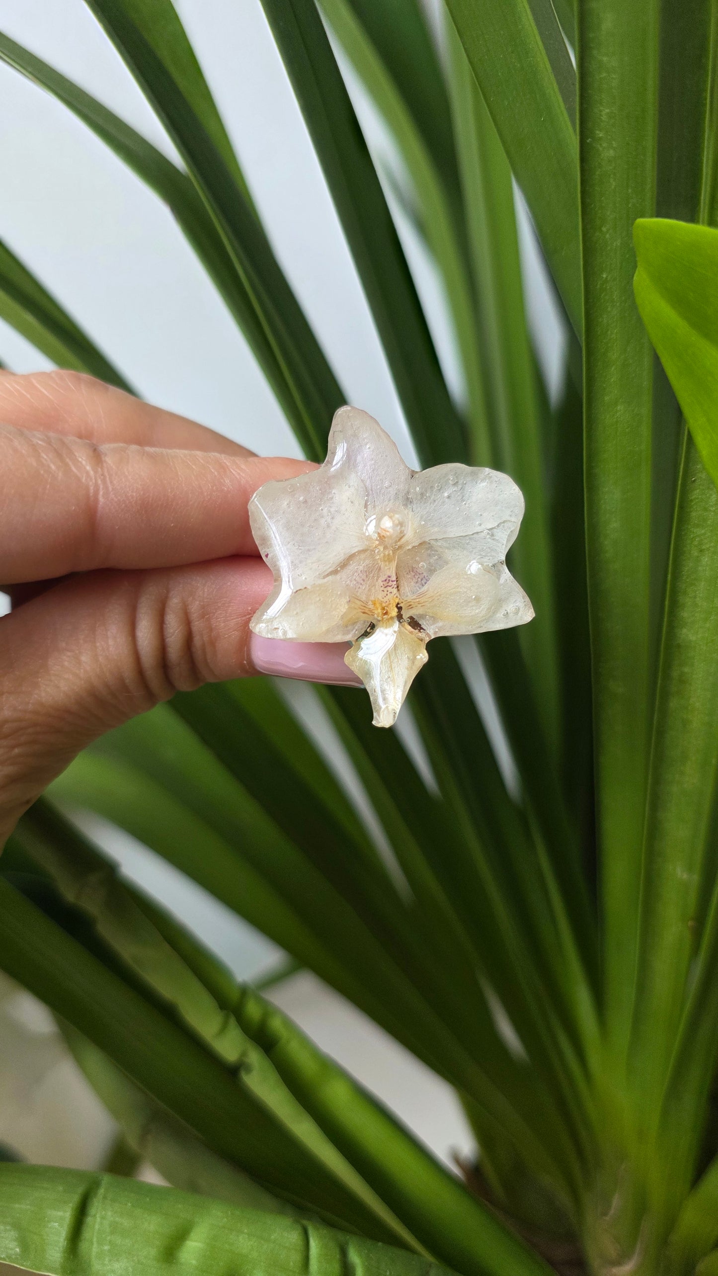 Anillo orquidea blanca