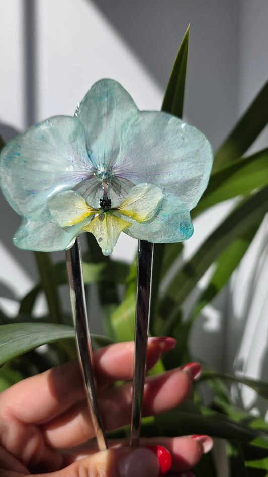 Horquilla de orquidea real