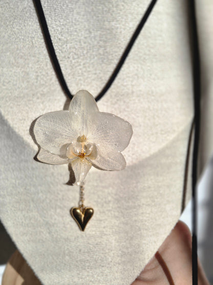 Colgante regulable de orquídea Phalaenopsis