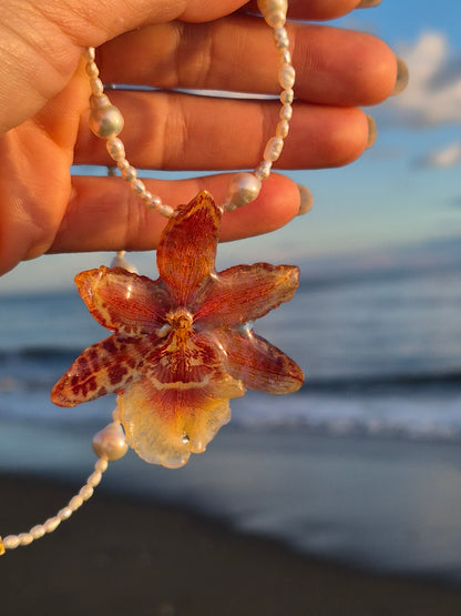 Collar de perlas y orquidea Cambria