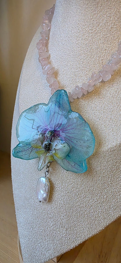 Colgante orquídea Phalaenopsis