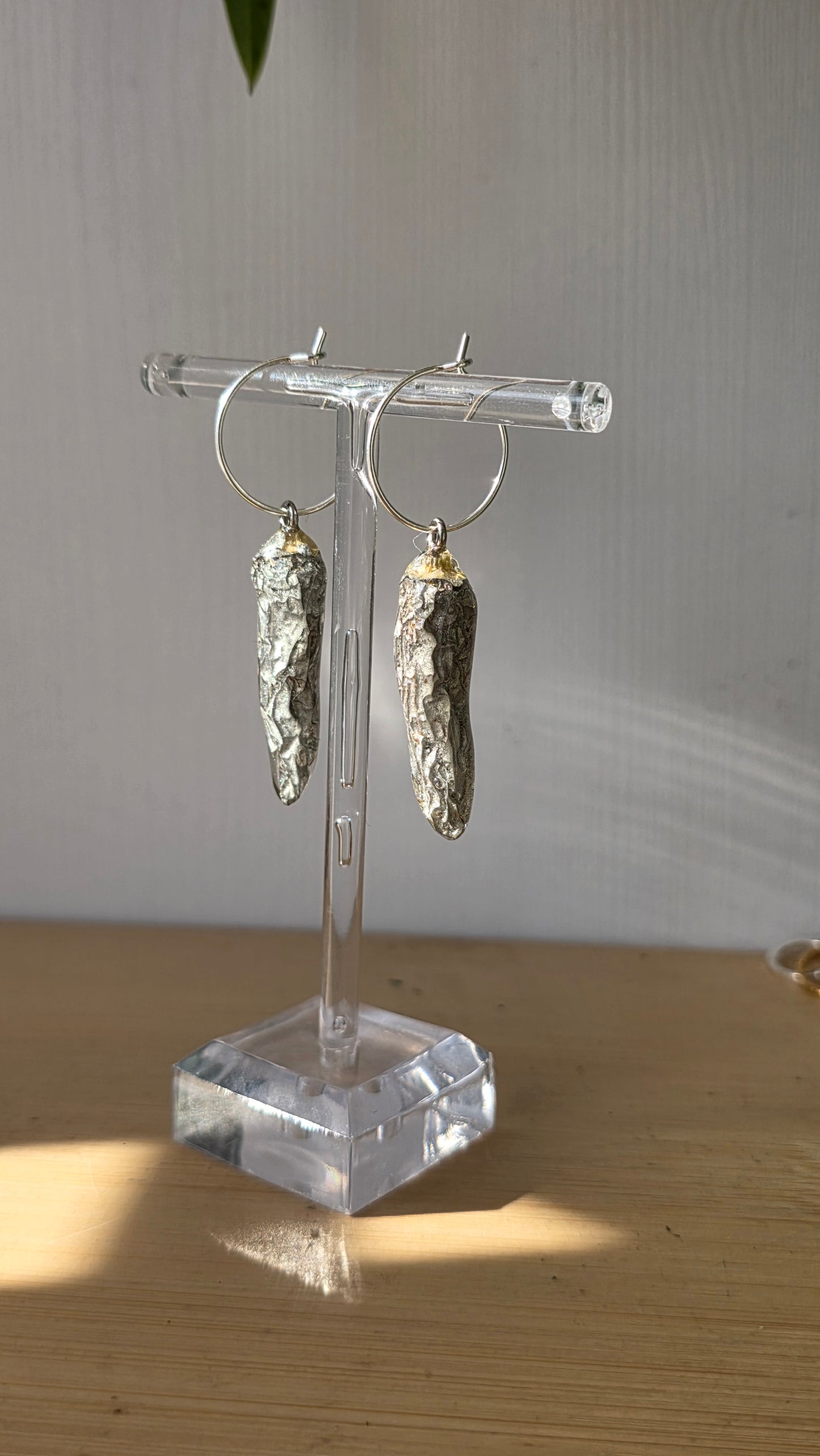 Pendientes de Chile