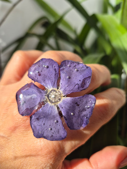 Anillo flor Vinca Menor