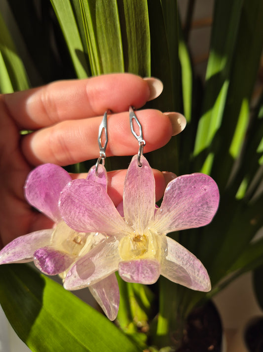 Pendientes orquidea Dendrobium