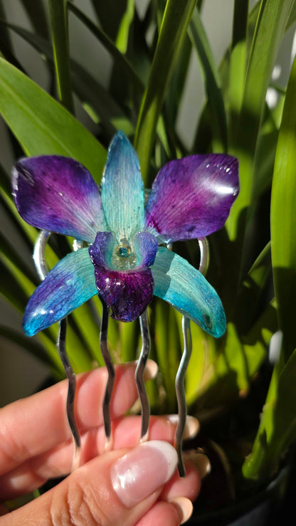 Horquilla de orquidea