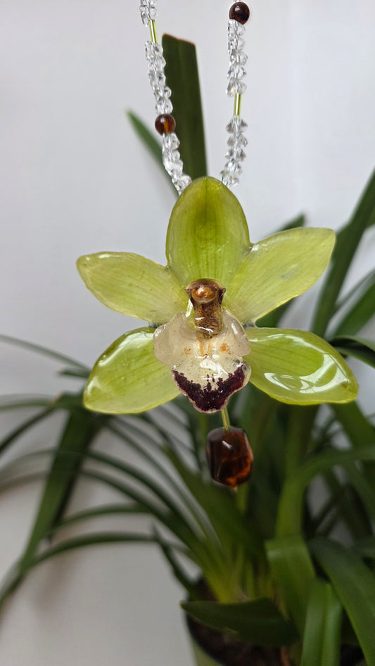 Colgante orquidea Cymbidium verde