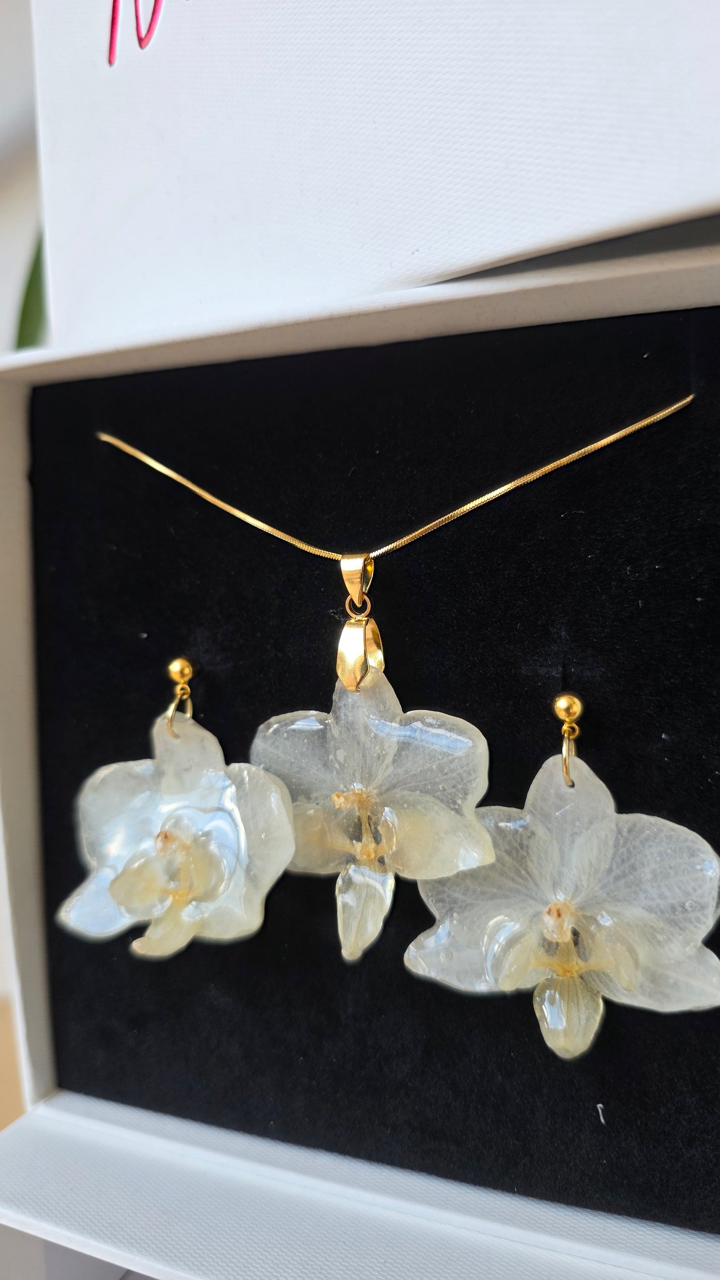 Conjunto orquidea Phalaenopsis