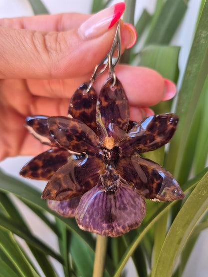 Pendientes orquídea Zygopetalum