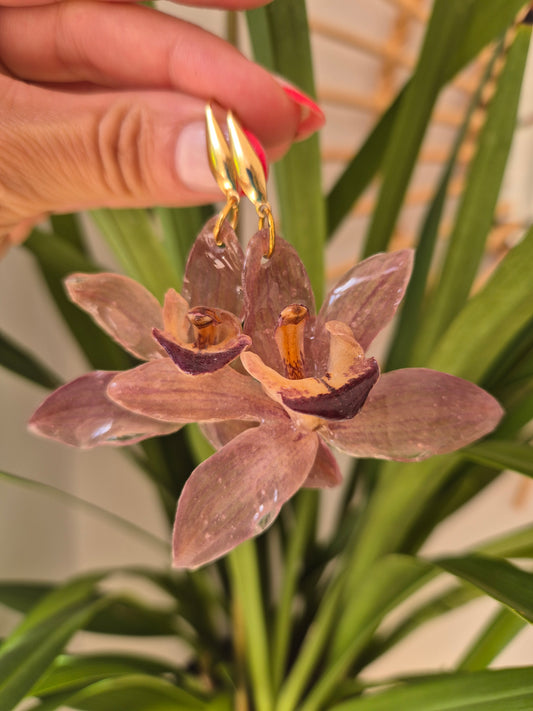 Pendientes orquidea Cymbidium