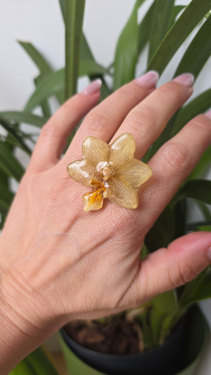 Anillo orquidea amarilla