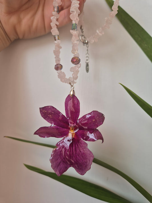 Colgante orquídea  Cymbidium