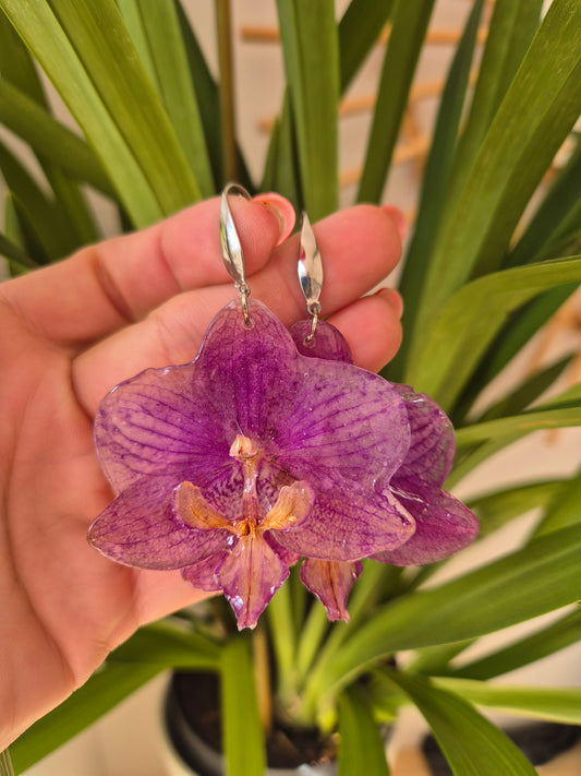Pendientes orquidea Phalaenopsis