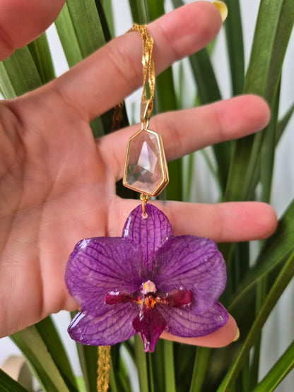 Colgante orquidea Phalaenopsis