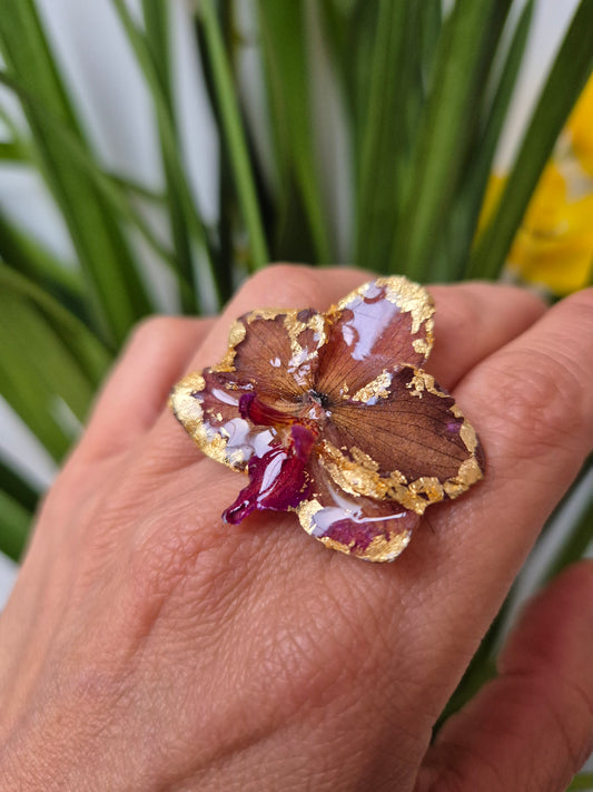 Anillo ajustable orquídea Phalaenopsis