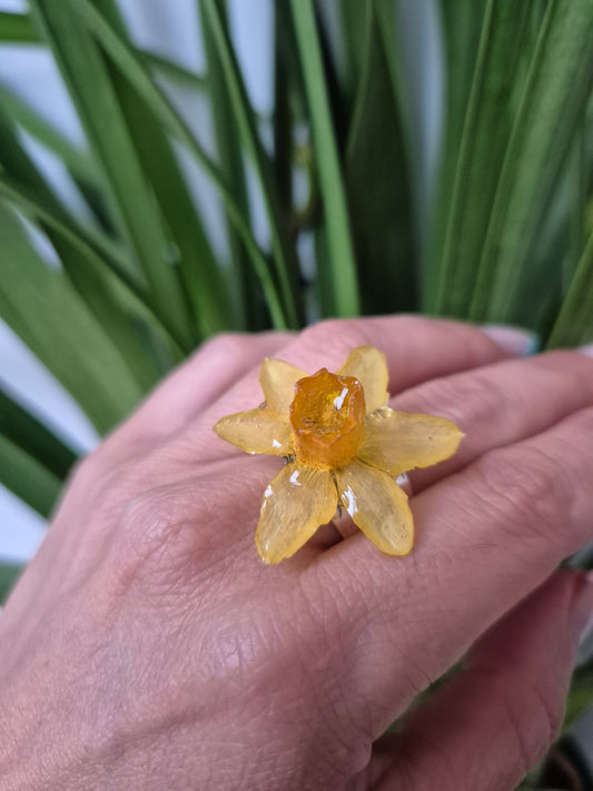 Anillo ajustable narciso amarillo