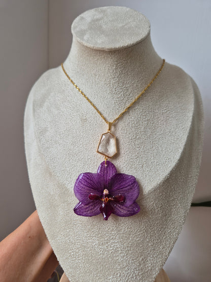 Colgante orquidea Phalaenopsis