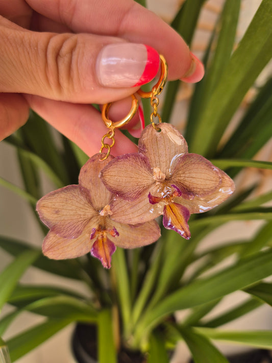 Pendientes orquidea mini