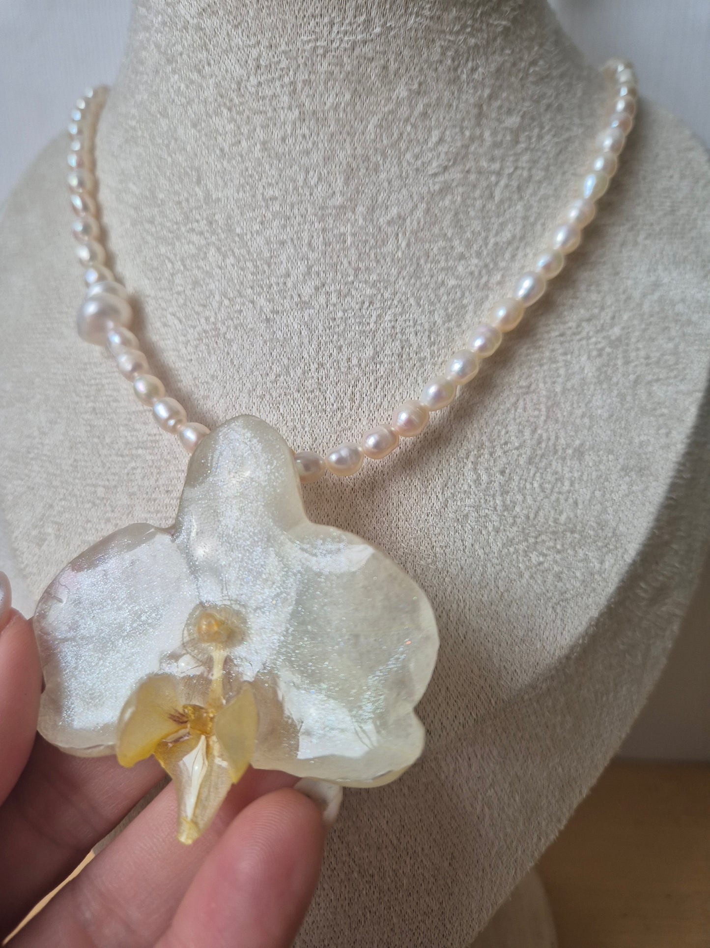 Collar de perlas y orquidea Phalaenopsis