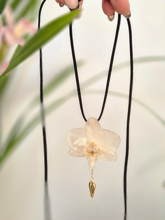 Colgante regulable de orquídea Phalaenopsis